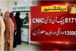8171 Check Online CNIC 2026 – Complete Guide to Verify BISP Status